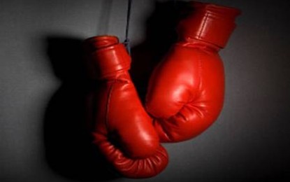 VIDEO: Top 10 Hardest Punches In Boxing History